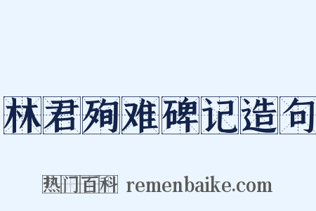 林君殉难碑记造句是什么意思的图片